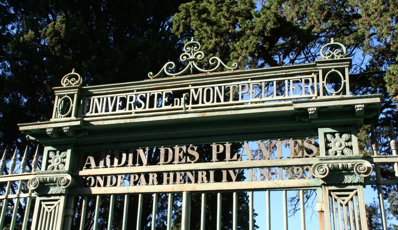 Jardin des plantes Faculté de Médecine Montpellier Nîmes Jardin des plantes Faculté de Médecine Montpellier Nîmes