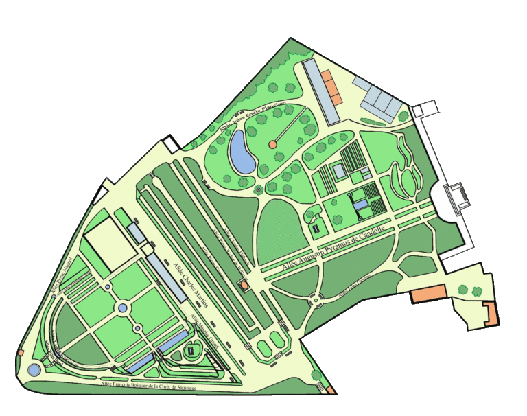 Le Jardin Des Plantes De Montpellier M Decine Et Botanique Depuis 400   PLan Tout Le Jardin  768x606 